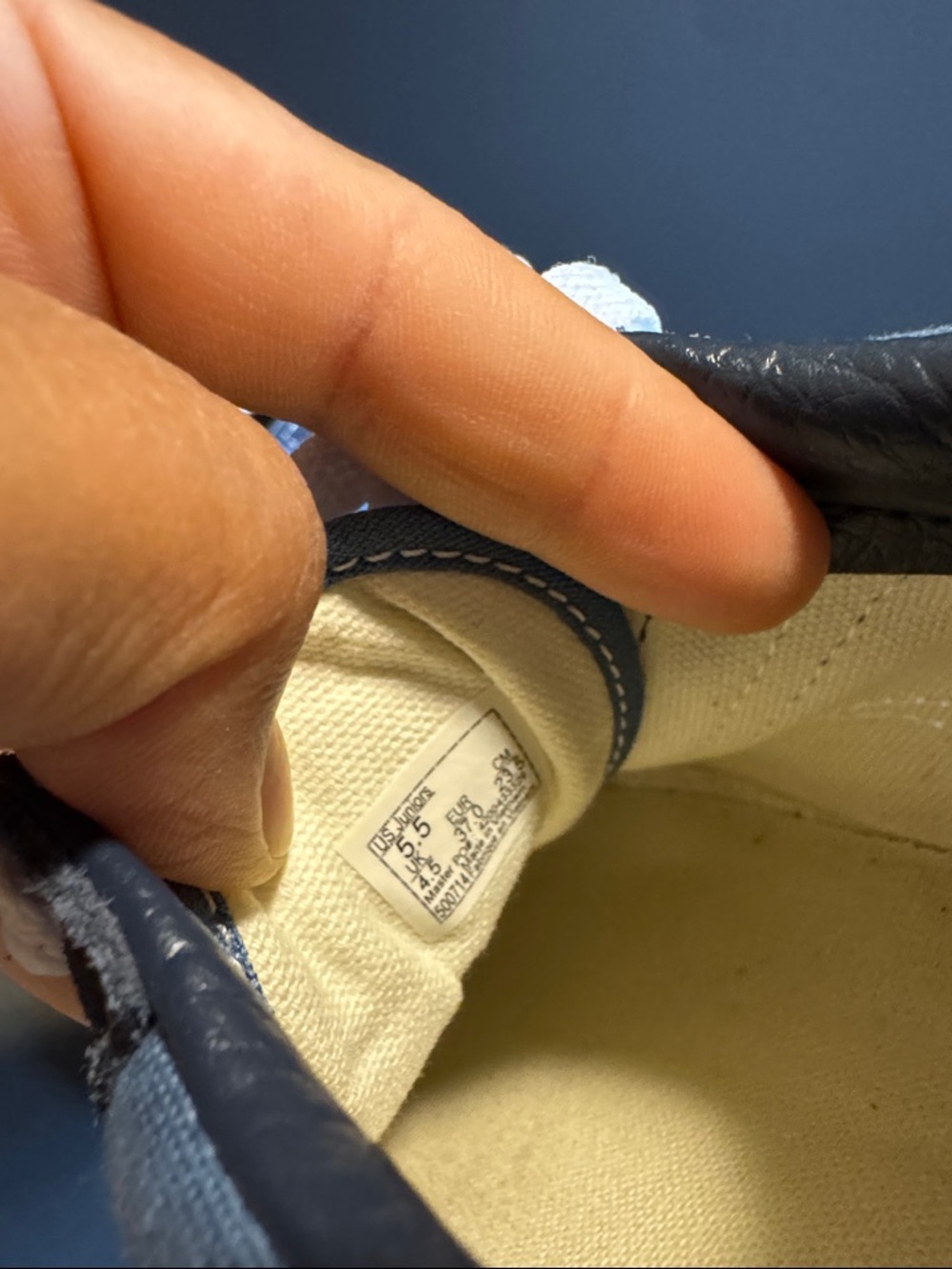 Vans Low-Top Sneakers in Navy and Light Blue - Picture 9 of 9